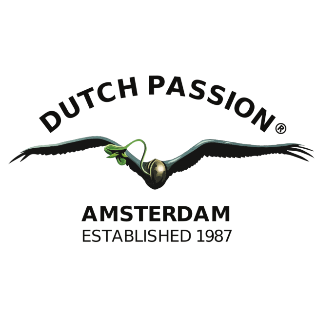 Dutch Passion