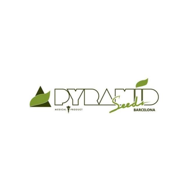 Pyramid Seeds