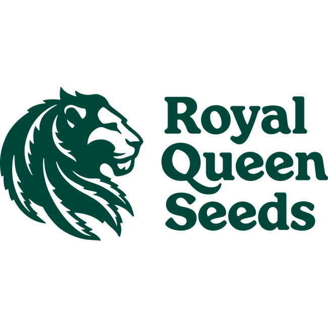 Royal Queen Seeds