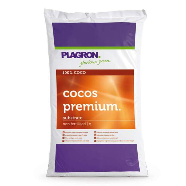 Coco
