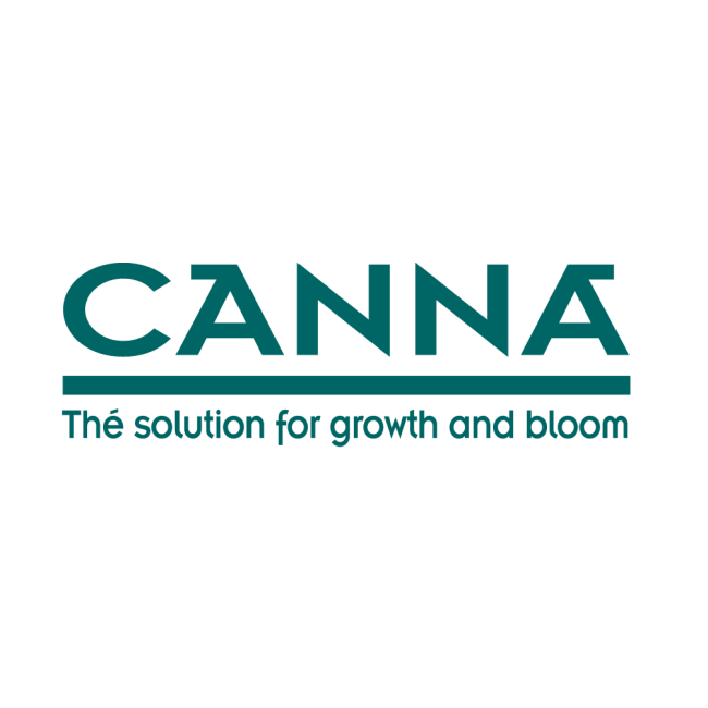 Canna