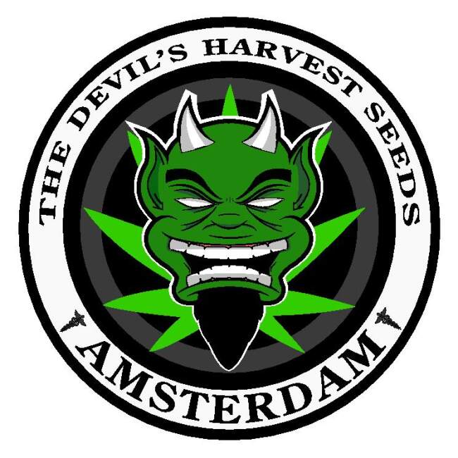 Devil\'s Harvest Seeds