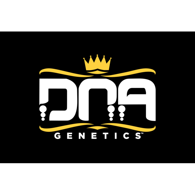 DNA Genetics