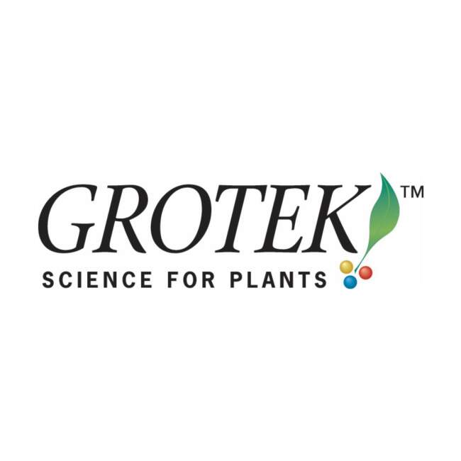 Grotek