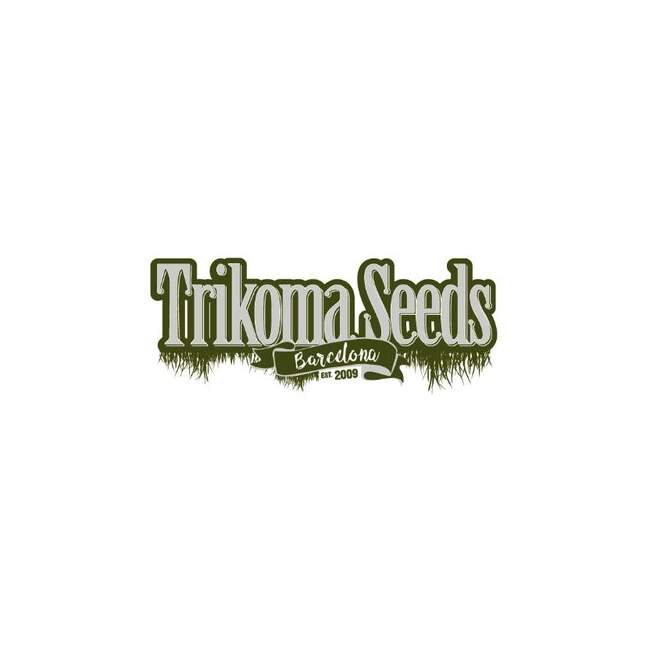 Trikoma Seeds