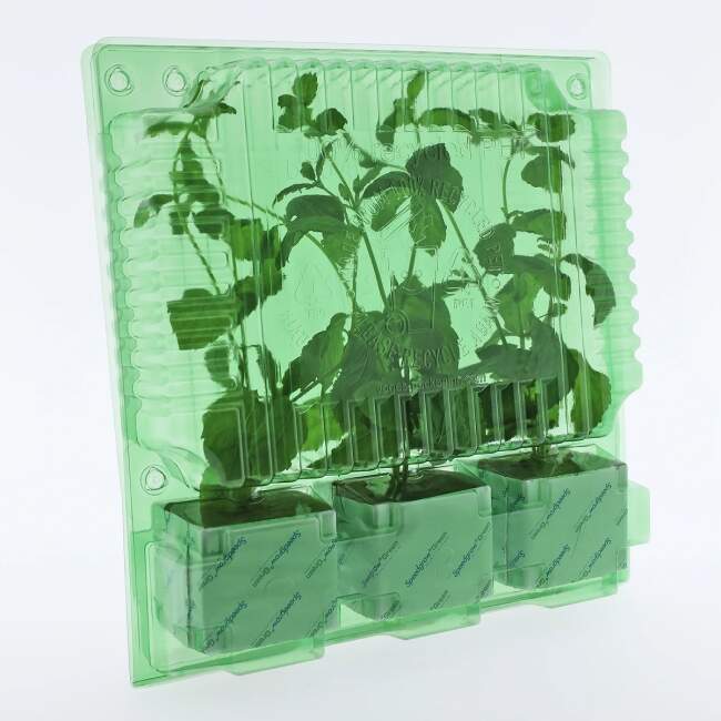 Verpackung