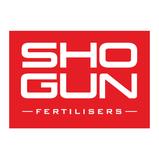 Shogun