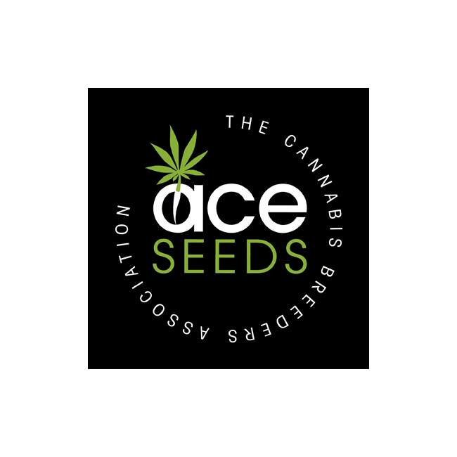 Ace Seeds
