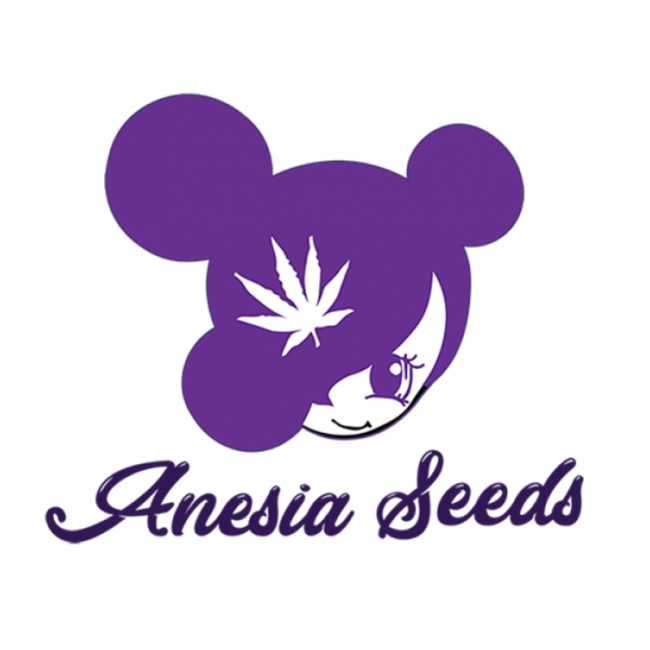 Anesia Seeds