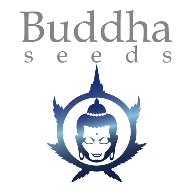Buddha Seeds