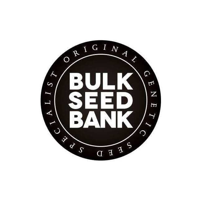 Bulk Seeds Bank