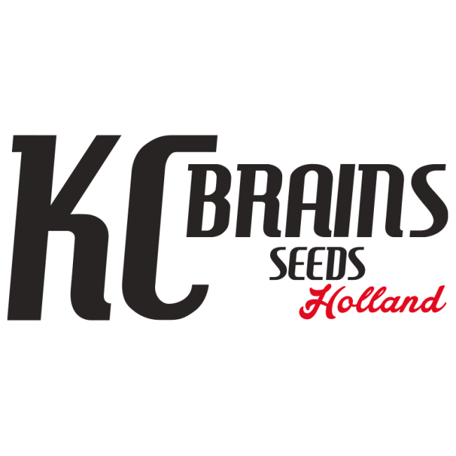 K.C. Brains