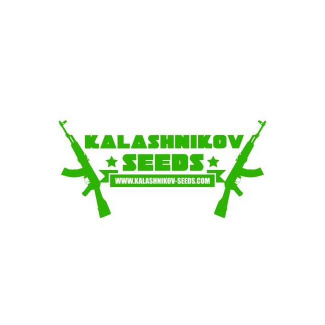 Kalashnikov Seeds