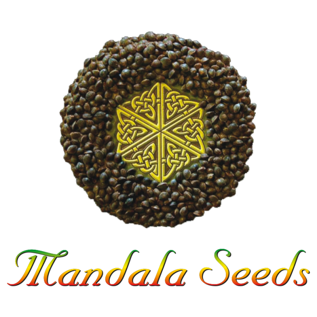 Mandala Seeds