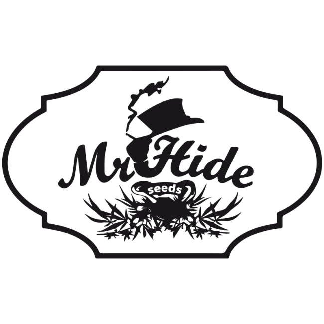Mr. Hide Seeds