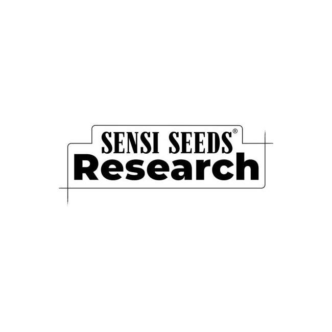 Sensi Seeds Research