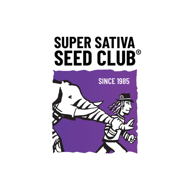 Super Sativa Seed Club