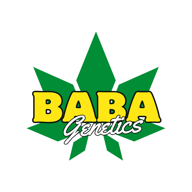 Baba Genetics