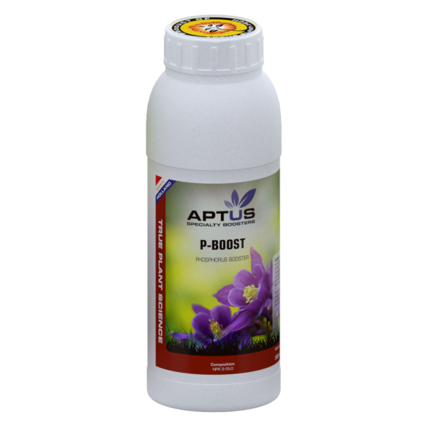 Aptus P Boost 500ml