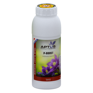Aptus P Boost 500ml