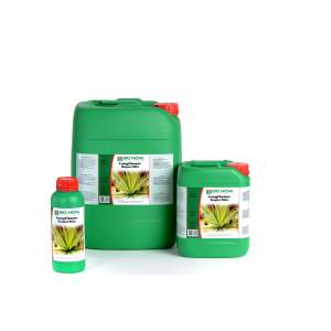 Bio Nova Long Flower SuperMix