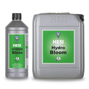 Hesi Hydro Blüte