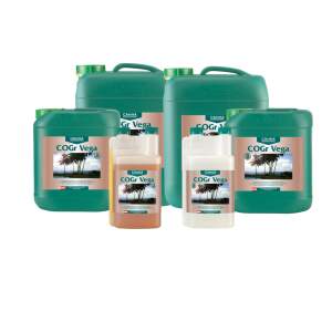CANNA COGr Vega A+B
