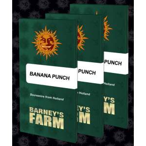 Barneys Farm Banana Punch