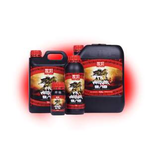 Shogun PK Warrior