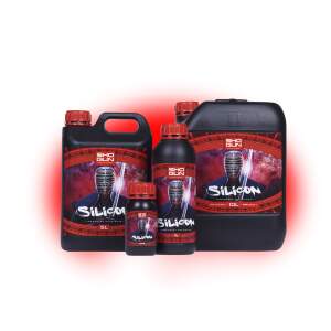 Shogun Silicon