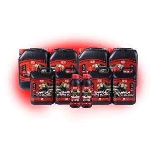 Shogun Samurai Hydro Bloom A&B