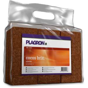 Plagron Cocos Brix