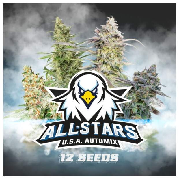 Bsf Seeds All Stars USA Automix