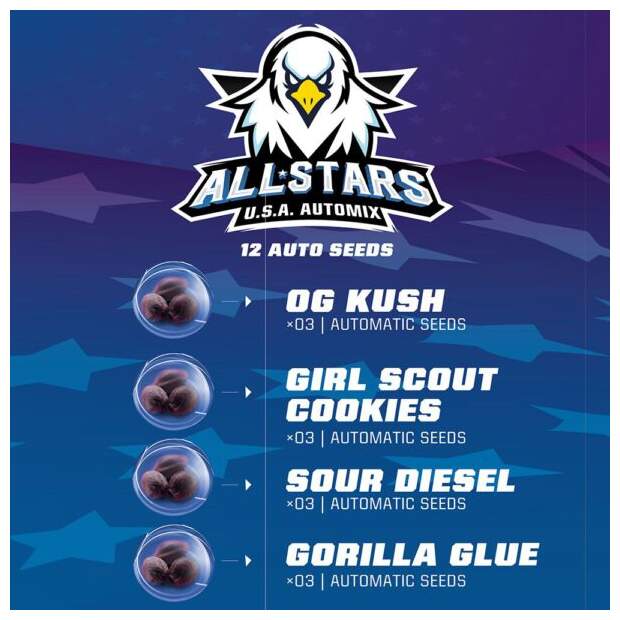 Bsf Seeds All Stars USA Automix
