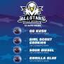 Bsf Seeds All Stars USA Automix