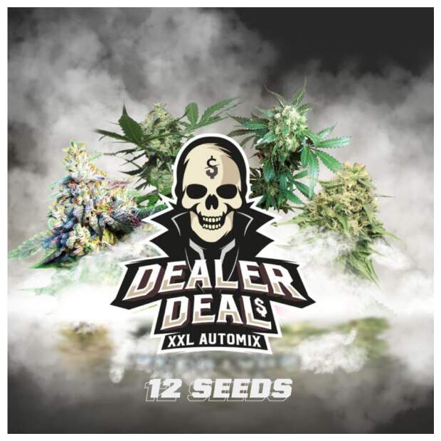 Bsf Seeds Dealer Deal XXL Automix