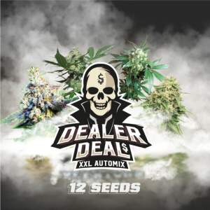 Bsf Seeds Dealer Deal XXL Automix