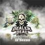 Bsf Seeds Dealer Deal XXL Automix