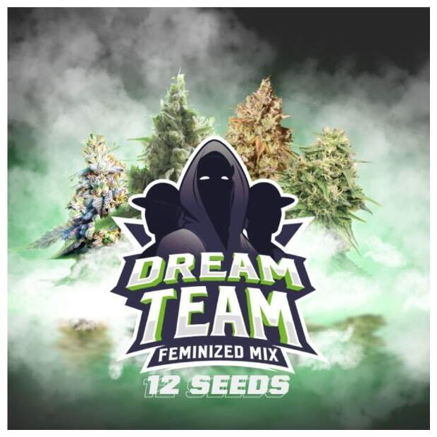 Bsf Seeds Dream Team Feminized Mix