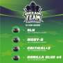 Bsf Seeds Dream Team Feminized Mix