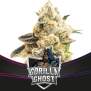 Bsf Seeds Gorilla Ghost - Draft Line