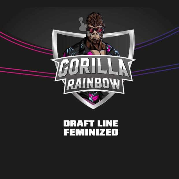 Bsf Seeds Gorilla Rainbow - Draft Line