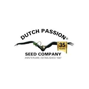 Dutch Passion Auto Lemon Zkittle