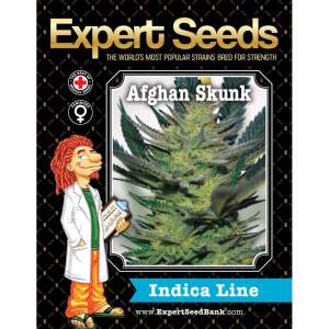 Expert Seeds Afghan Skunk