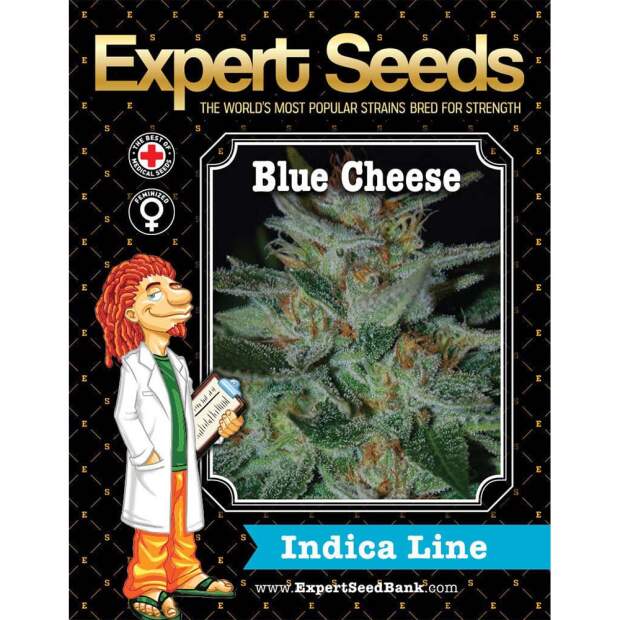 Expert Seeds Blue Cheese