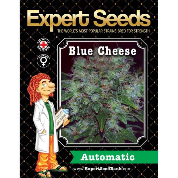 Expert Seeds Blue Cheese Auto