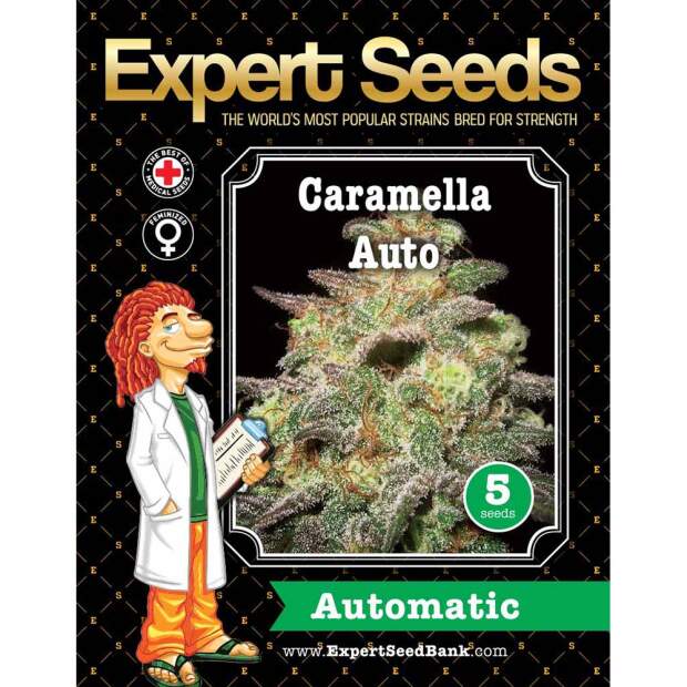 Expert Seeds Caramella Auto
