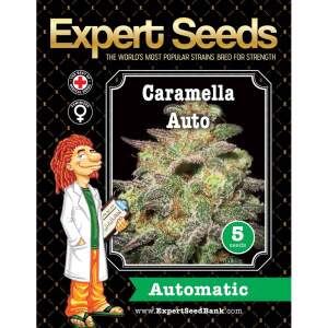 Expert Seeds Caramella Auto