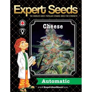 Expert Seeds Cheese Auto