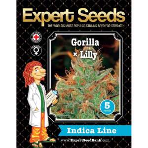 Expert Seeds Gorilla Glue # 4 X Lilly